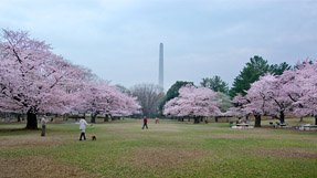 Hikarigaoka Park の写真