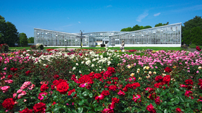 Jindai Botanical Gardens の写真