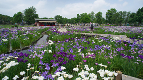 Mizumoto Parkの写真