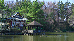 Shakujii Parkの写真