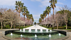 Shiokaze Parkの写真