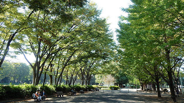 赤塚公園