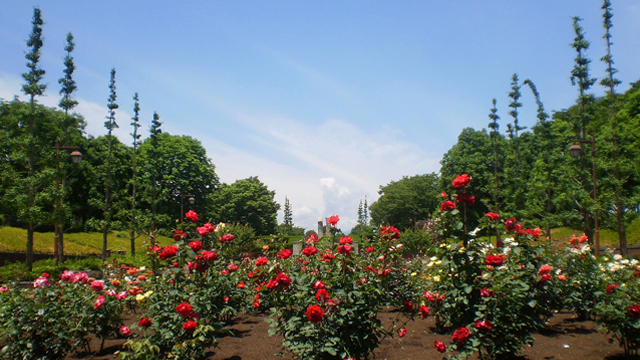 秋留台公园