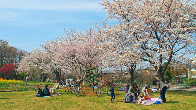 Higashimurayama-Chuo Park