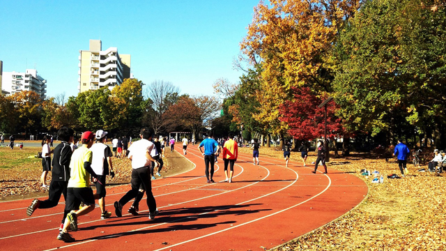 Higashiyamato-Minami Park