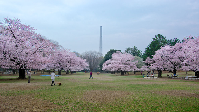 Hikarigaoka Park 