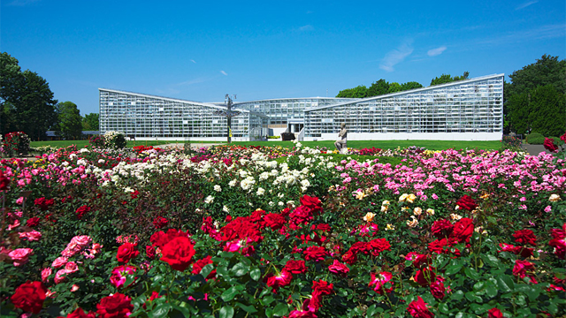 Jindai Botanical Gardens 