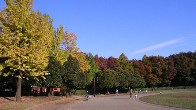 城北中央公園