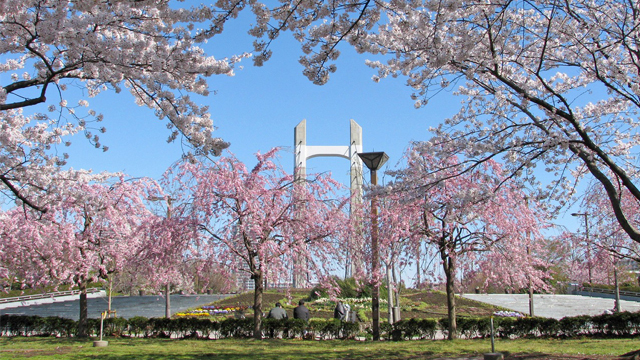 Kiba Park