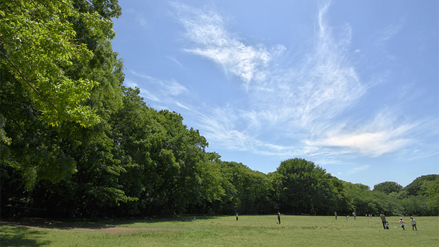 Kinuta Park