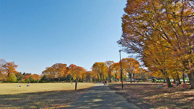 小金井公園