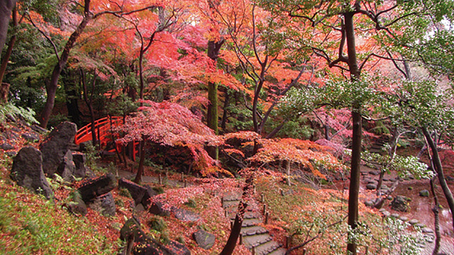 Koishikawa Korakuen Gardens