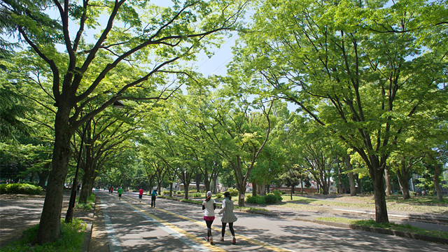 駒沢オリンピック公園