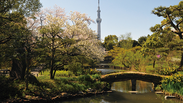 向岛百花园