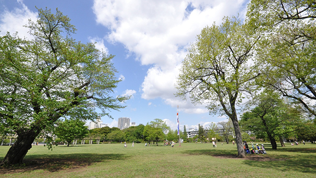 Musashi Kokubunji Park