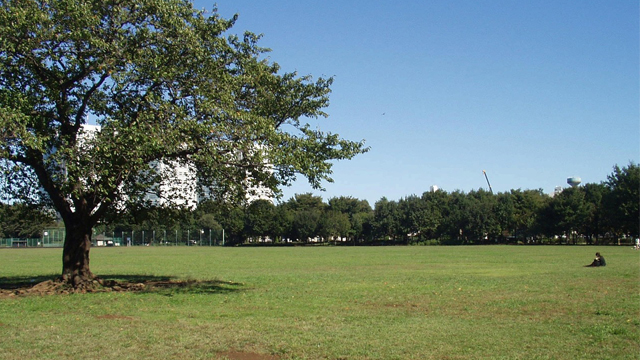 武藏野中央公園