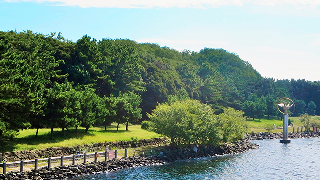 大井ふ頭中央海浜公園（なぎさの森）