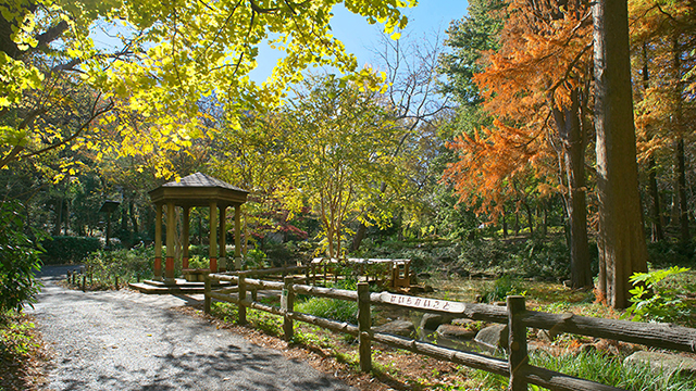 Rinshi-no-Mori Park