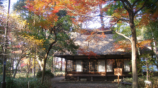 芦花恒春园