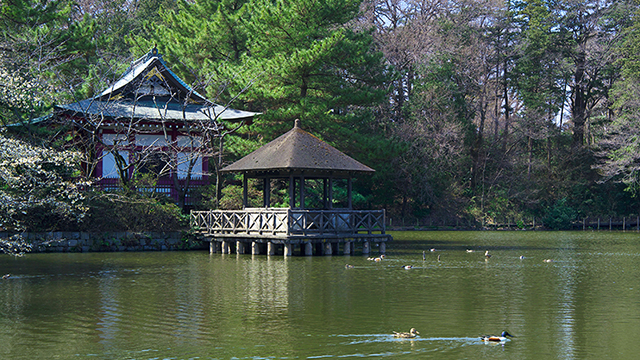 石神井公園