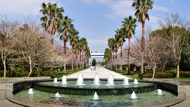 潮風公園