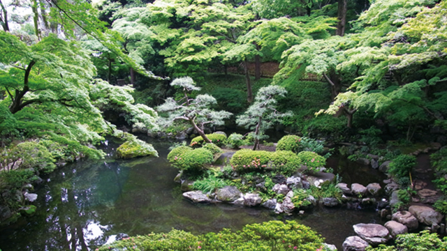 殿ヶ谷戸庭園