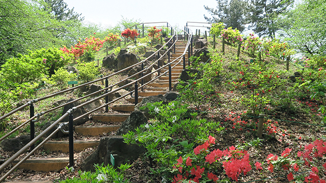 戸山公園