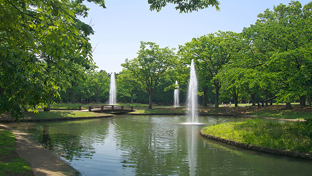 Yoyogi Park